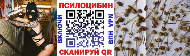 МЕГА ТОР  Клинцы  Псилоцибиновые грибы MAGIC MUSHROOMS 